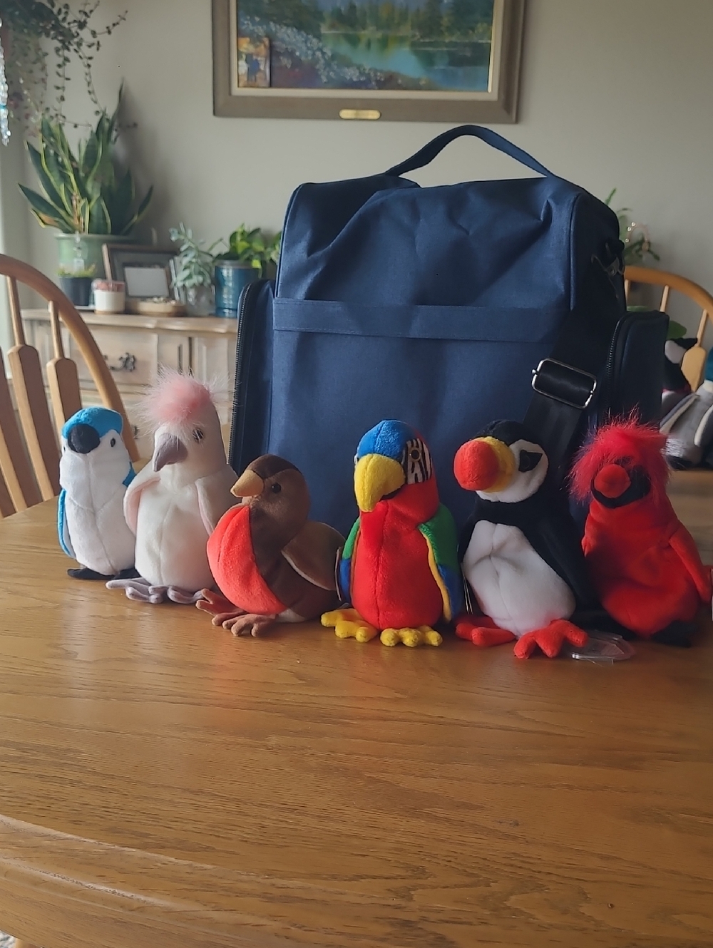 Lot Of 6 Ty Beanie Baby Birds